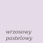 WZORNIK KOLORÓW DEKOLAR